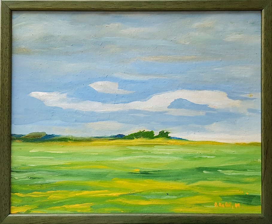 2009 — (12) V Lukách A, O, S 25,8 x 31,6 cm